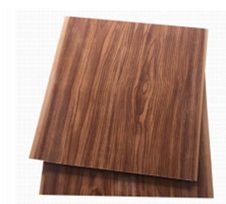 PVC Ceiling