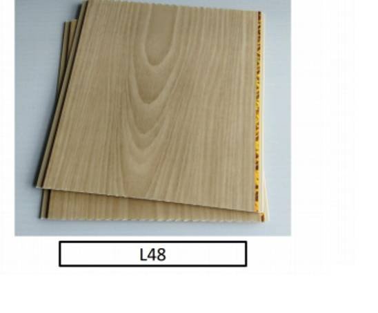 PVC Ceiling Design 48